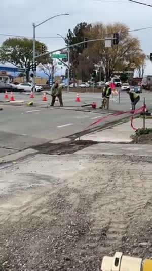 신참 실력 좀 볼까?