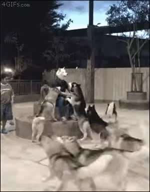 서울 가더니 사람이 되어 돌아왔네