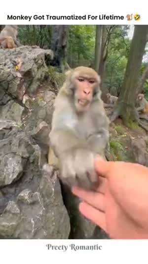 소리] 포도, 포도, 포도, 포도, 포도.mp4