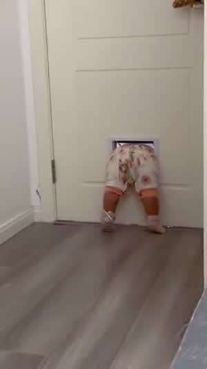 어려서부터 개구멍 이용을 터득했네