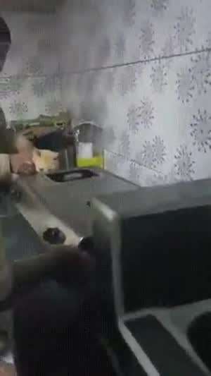 첨부터 걍 나한테 맡겨라옹