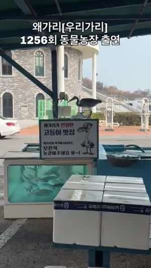 소리] 왜가리가 인정한 고등어 맛집.mp4