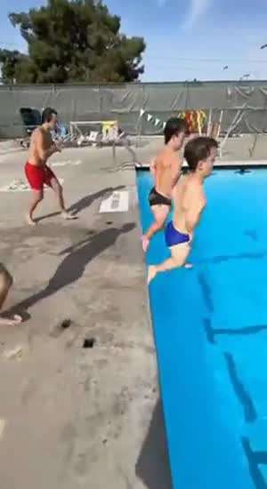 난쟁이와 돌고래?