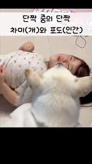 놀 때도 쉴 때도 항상 함께해요~단짝 중의 단짝 차미(개)와 포도(인간)