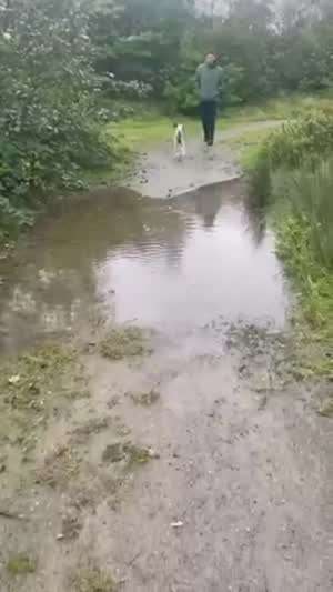 발 적시기 싫어