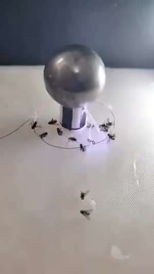 테슬라 코일 플라이 트랩 - 전기모기채의 미래....