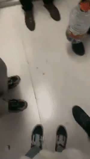 엘리베이터 처음 타보는 강아지의 뒷끝.