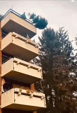 전설의 소프트 랜딩