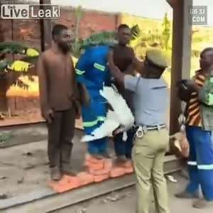 아프리카의 흔한 시상식 메달