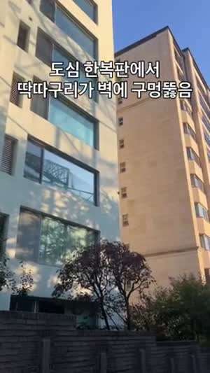 소리] 새입자 소음 레전드.mp4