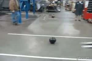 지게차로 하는 볼링