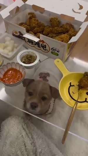 브금] 투명한 유리 테이블에서 음식 먹을 때 단점.mp4