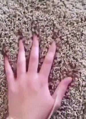 할일이 너무 없는 사람 6