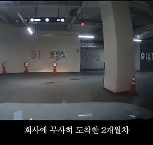 초보운전자의 귀여운 자동차 사고