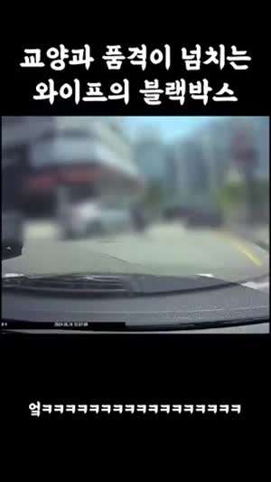 교양과 품격이 넘치는 아내의 블랙박스