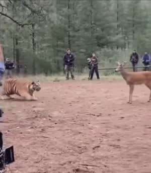 결국 논란터진 내셔널지오그래픽