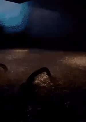 어떤 목욕탕 컨셉