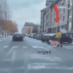 진짜 개빡친 시각 장애인 안내견.