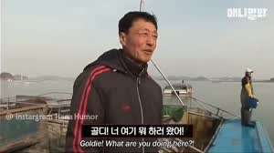 리트리버에 질려버린 아저씨