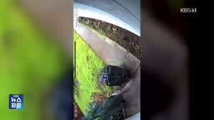 쓰레기봉투로 변장한 택배 도둑