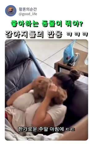 좋아하는 동물이 뭐야?