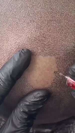 눈물의 두피 문신과 웃기는 댓글짤