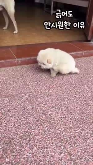 긁어도 안 시원한 이유