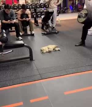 동네 헬스장 진상