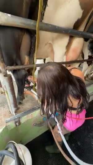 똥 한바가지 맞은 젖소 목장 누나