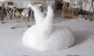 주인이 일! 하고 있는 사이.