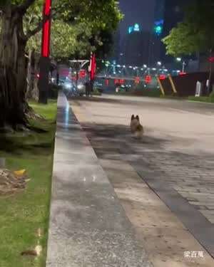 그녀를 만나는 곳 10미터 전