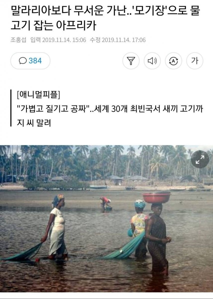 아프리카에 모기장을 보급한 결과..
