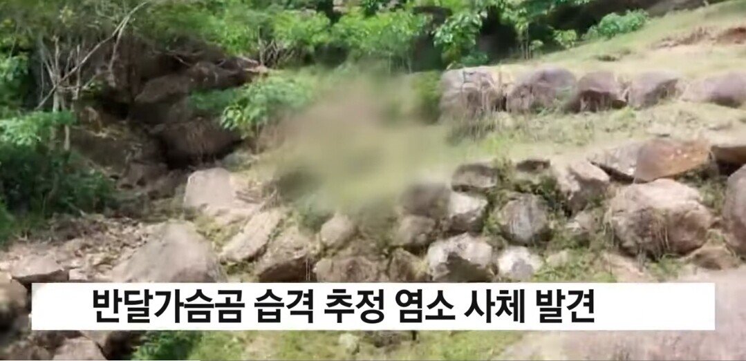 최근 지리산 근황