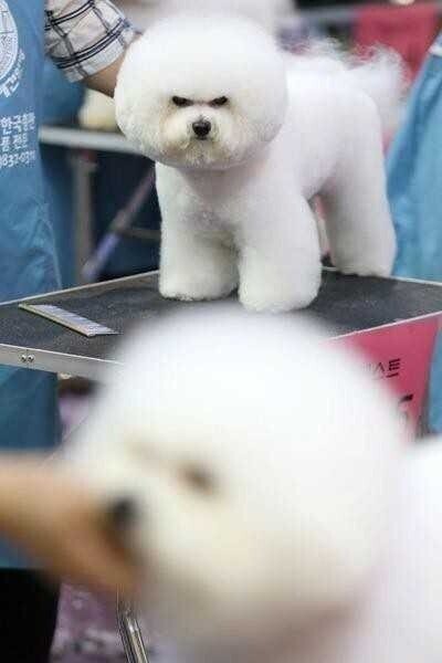 무조건 저년보단 예쁘게 해주세요