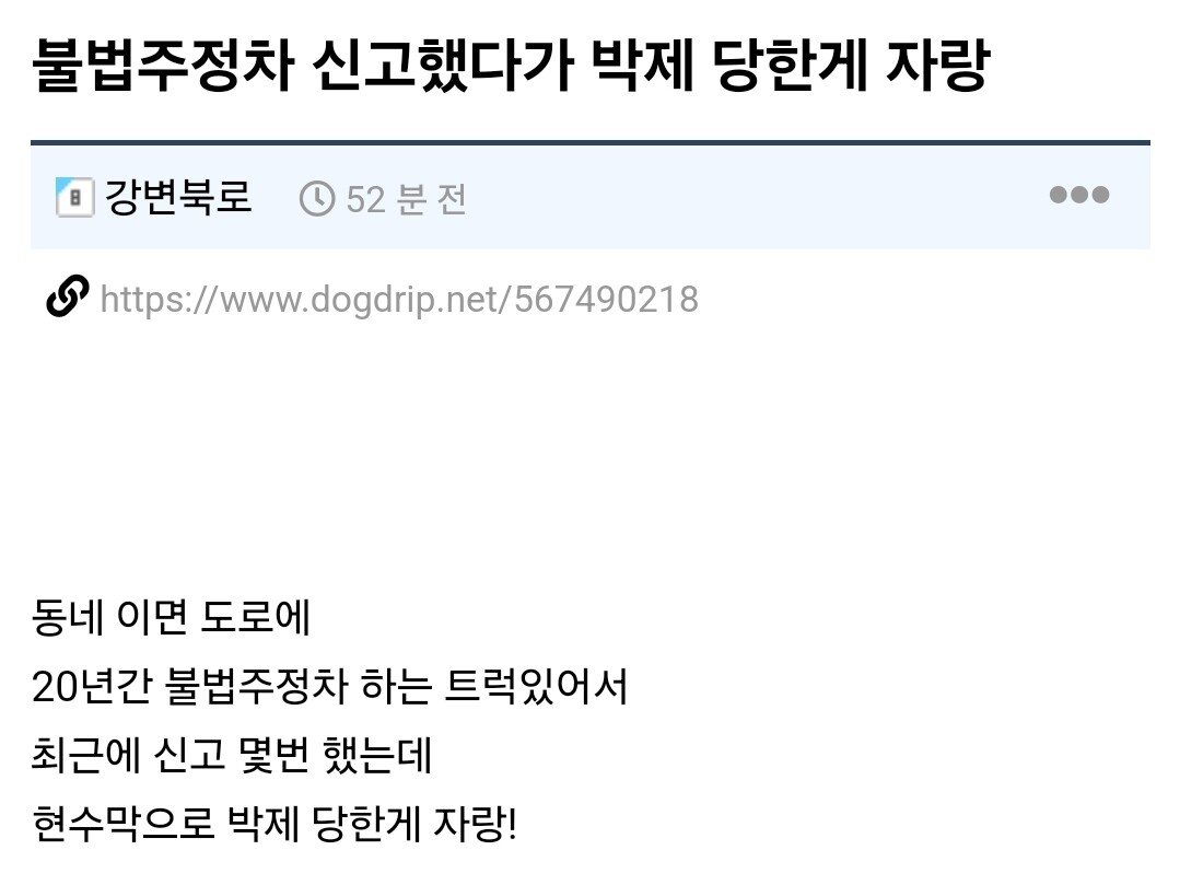 불법주정차 신고했다가 얼굴박제 당한 개붕이