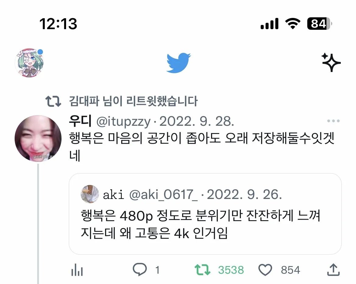 "왜 행복은 480p인데 고통은 4k인 거임?"