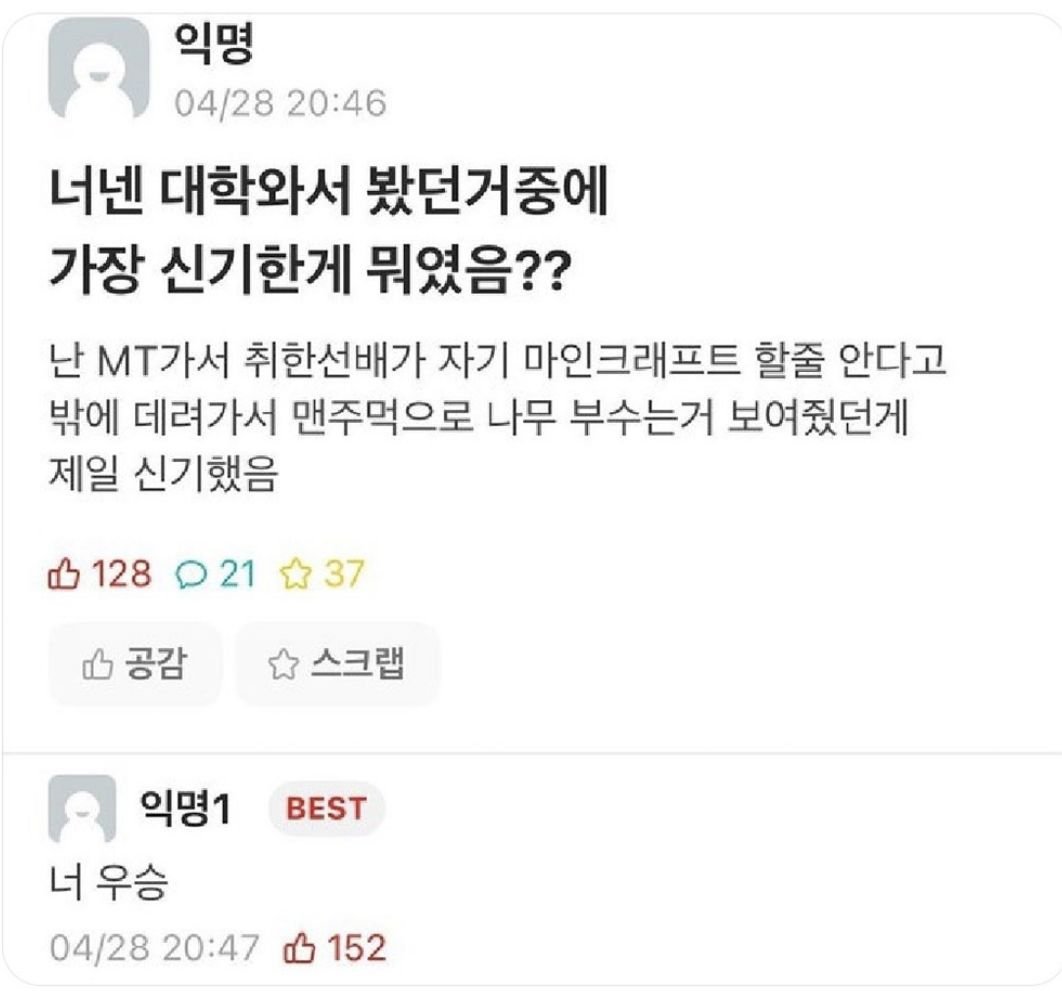너넨 대학 와서 봤던 거 중에 가장 신기한 게 뭐였음??