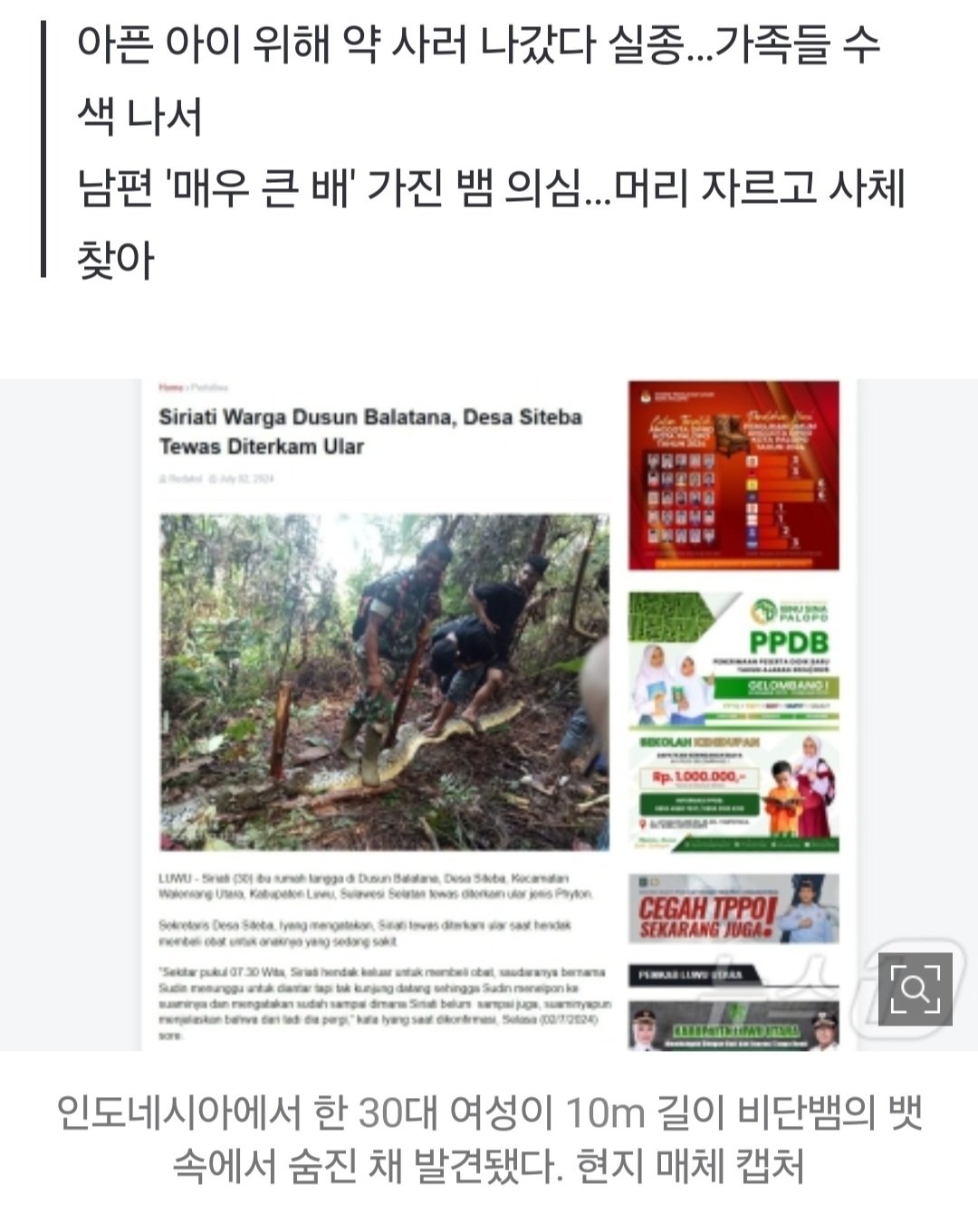 10m 비단뱀 배 속서 다섯아이 엄마 숨진 채 발견…"아이 약 사러 가던 길"