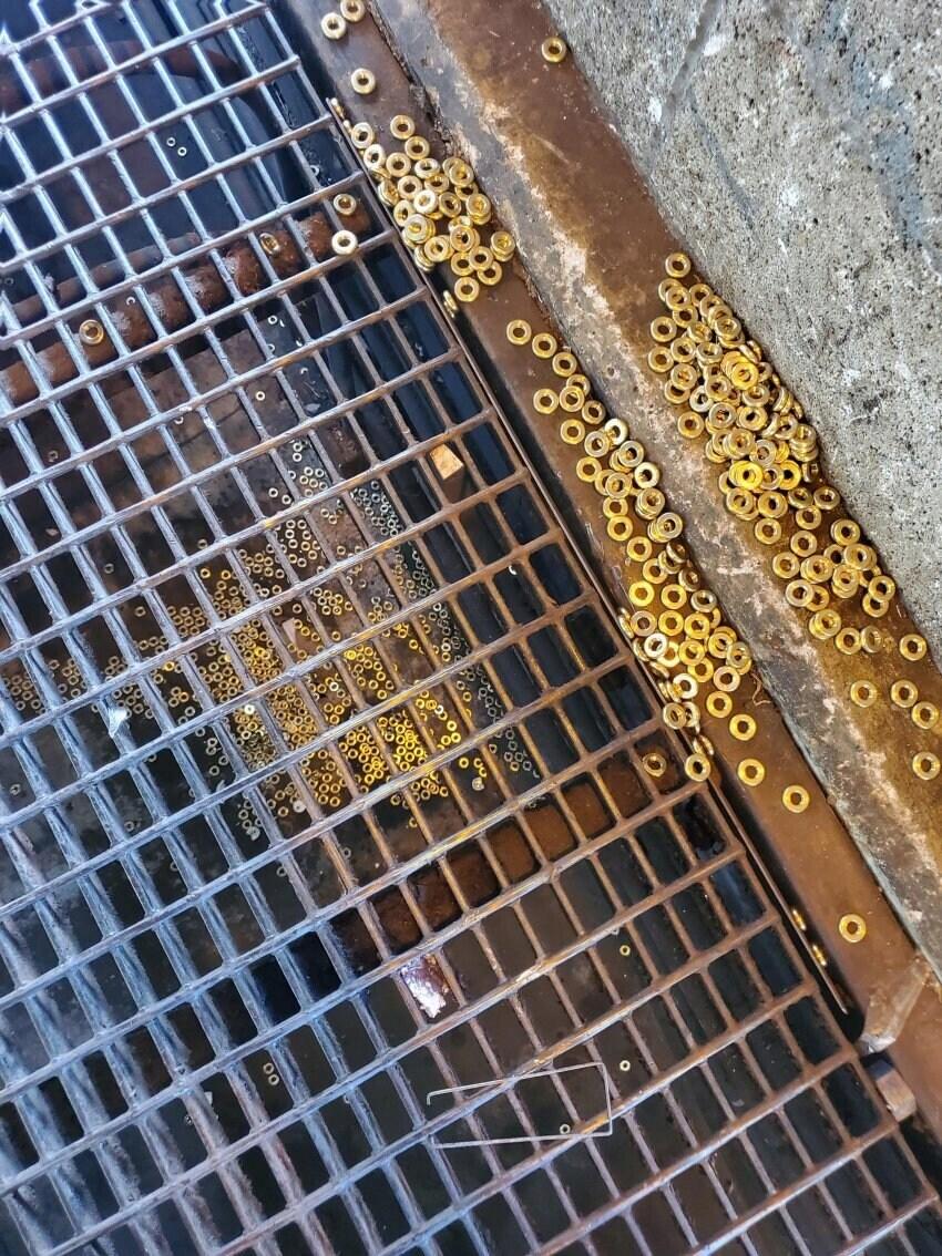 요 근처에서 고슴도치 한 마리 죽었나 봄