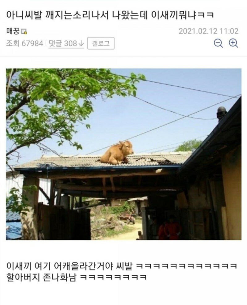와.....진짜 소오름 돋네 ㄷㄷㄷㄷㄷㄷ