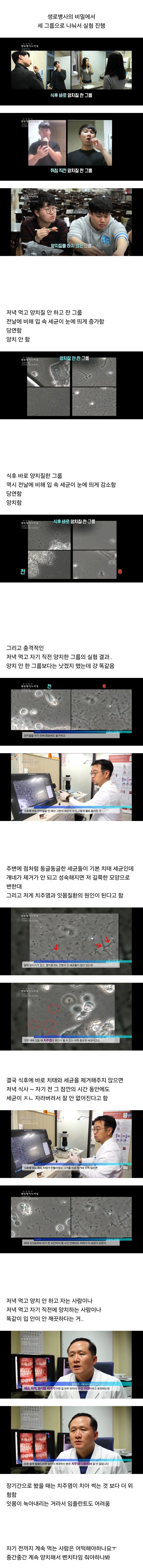 자기 직전에 양치하는 사람들 충격적 실험 결과..