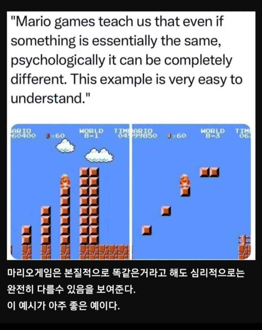 멘탈 관리가 중요한 이유