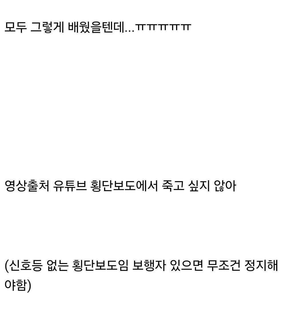 손을 들고 길을 건너면 차가 멈춰줄거라 믿은 어린이들