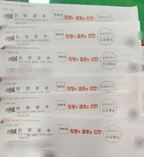 탈출한 염전노예에게 세금 독촉한 신안군