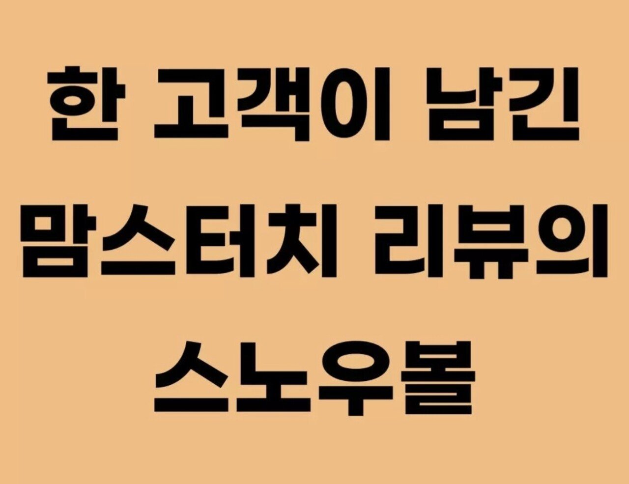 한 고객이 남긴 맘스터치 리뷰의 스노우볼