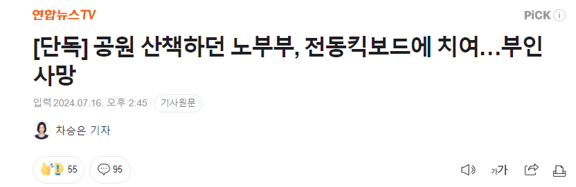 [단독] 공원 산책하던 노부부, 전동킥보드에 치여…부인 사망