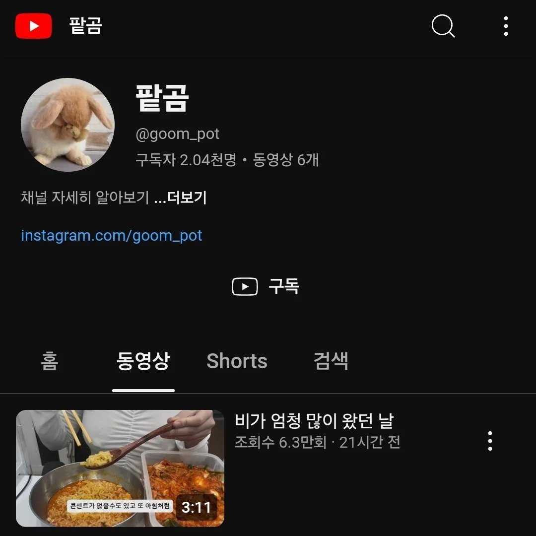 36주차 낙태브이로그 유튜버 근황