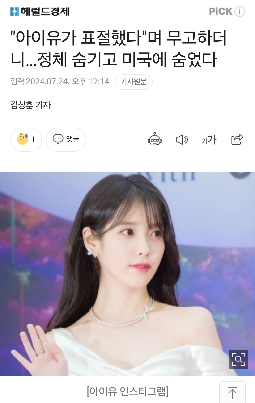 "아이유가 표절했다"며 무고하더니…정체 숨기고 미국에 숨었다