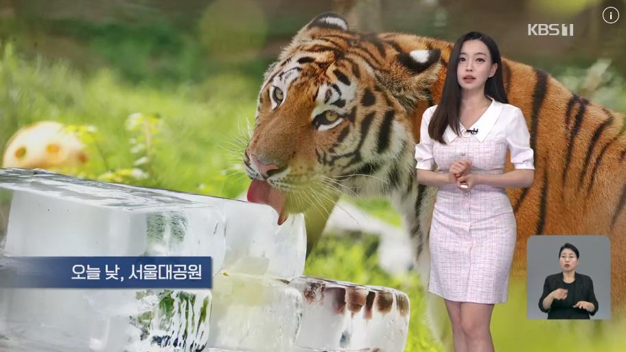 [날씨] 전국 대부분 폭염 특보