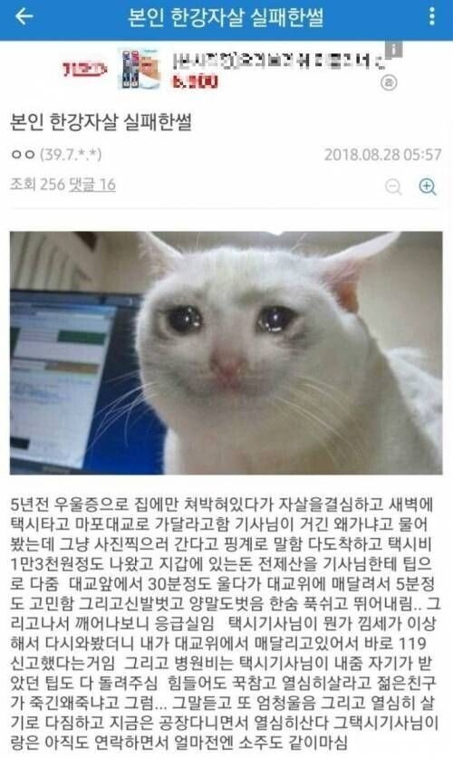한강 자살 실패한 디시인